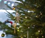 Studentský vánoční večírek